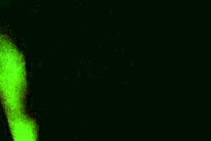 In the dark, a petite Latina teen moans loudly while getting slapped during intense doggystyle sex with a hardcore pornstar prostitute.