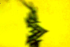 intriguing brunette homemade anal with fat cock