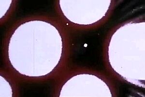 Vintage Interracial Scene With Black Chicks And White Dicks