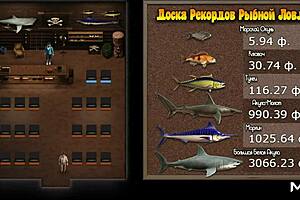 Treasure of Nadia Concludes Fishing Story Episode 93