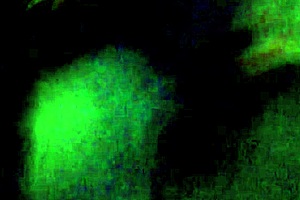 mature wife gives amateur blowjob in casual chat