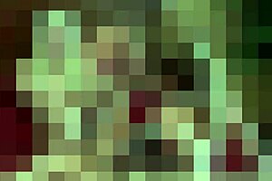 Suck My Perfect Purple Toes Please