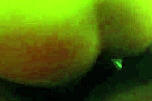 Badd Barbiee Takes Rough Blowjob With Monster Cock In Hotel Room