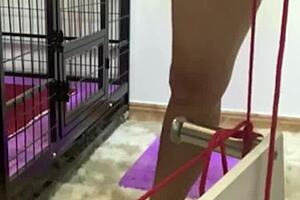 ever wondered how hangzhou lingwei dominates with her feet?