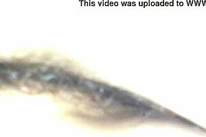 Top 100 hottest homemade videos 2013