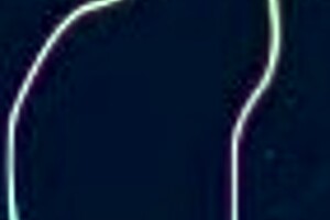 Trio with blowjob from sister-in-law's curvy friend.