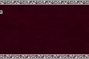 Taima Ninja Hiragi Part 3: Group Gangbang Action