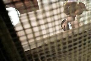 Bathroom spying captures hidden moments in the shower