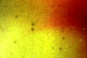 Dreamy Ms Brittney Kade In Lingerie, Masturbating Her Cock