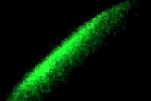 Hey, my 18 blonde gf is riding cock so good! 😍