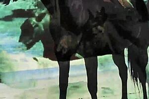 dark lantern entertainment presents women with animals in vintage retro settings