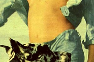 dark lantern entertainment presents women with animals in vintage retro settings