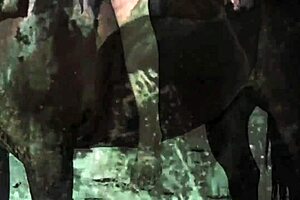 dark lantern entertainment presents women with animals in vintage retro settings