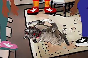 feeling the intense vibes in the hood reality show season one part six