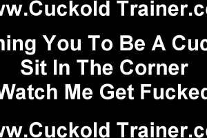 watch me humiliate you as my old cuckold slave in bdsm