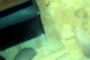 hey, watch my wife squirt that tiny load all over the place?