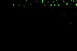 Brazilian Babe Begs For Black Cock Intensely