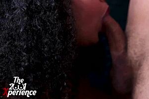 Diana Marquez Delivers Intense Blowjob For Cumshot