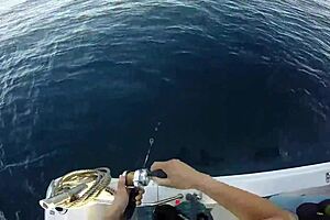 japanese guys enjoy a casual fishing outing 😊