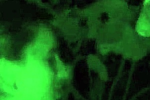 Italian Amateurs Perform Oral And Fuck In Public Street