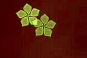 Detailed Oral Sex With Boyfriend, Sucking Deep