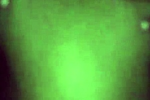 Georgina Ebony College Student Pays Tuition