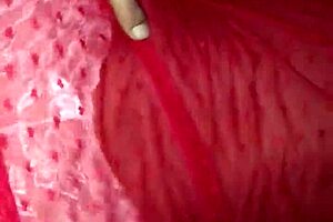 intriguing mexican side story