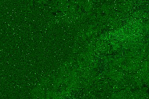 I feel the warm piss soaking my jeans as I shower with this brunette teen