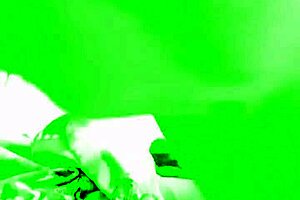 Quarantine hiding leaked video two