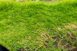 i recorded my girlfreind fucking me outdoos in the park, it wass so hot