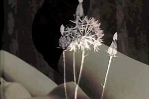 Comparing vintage pornography styles from the 20th and 19th centuries