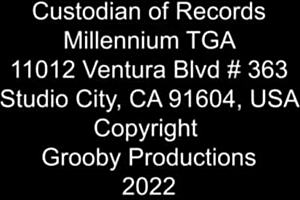 Beautiful shemale ladyboy masturbates with fingering and cock solo