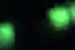 Rosa Gets Fucked in Car for Money Amateur Video