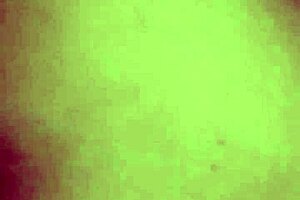 i felt intense pleasure fingering and assfucking the mature woman in yangpu