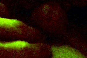 100 0729 mov with blowjob lick slut rimjob pregnant sucking