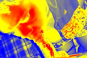 Intense sloppy blowjob from ebony amateur in pov