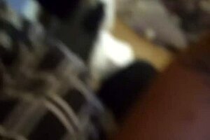 deb likes sucking my cock in blowjob scene