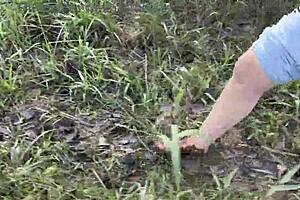 i got my feet all muddy in that swampy bog, oops