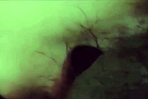 i cummed in my filipina babe's mouth, we missed each other.