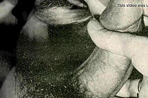 vintage glimpse dark lantern entertainment presents my secret life the 19th century diaries of an english gentleman