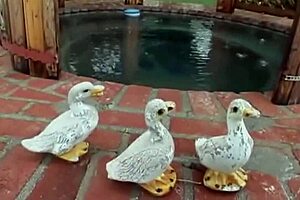 She gives blowjob on rainy day