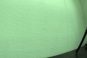 Scarlet Datz gets her ass fucked in pov