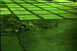 Bound teen in hd bondage experiences rough doggy style unless you're from elsewhere