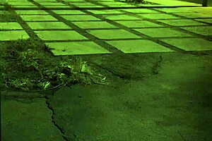 Bondage Extreme Hardcore First Time