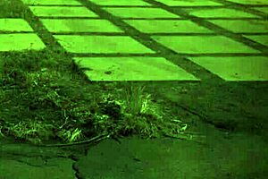 Bondage Extreme Hardcore First Time