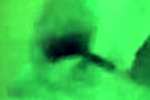 This couple engages in amateur anal assfucking.