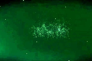 Elegant milf giving blowjob with grace!