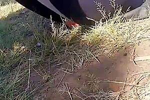 Man, I took this gorgeous Latina milf home to bang her!