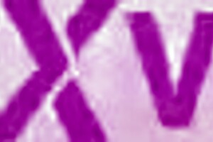 Madeleine Rose Gets Christmas Dick Down From Dapper Dan