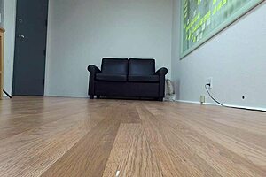 sexy new boy fetches high bids on the auction block